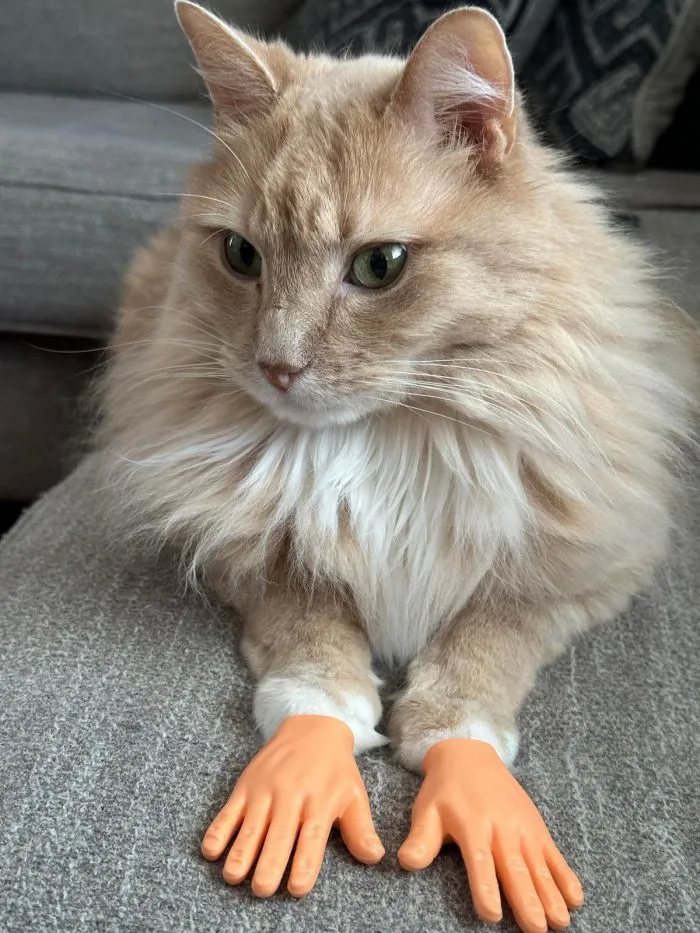 Фотоподборка