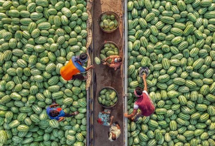 Фотоподборка