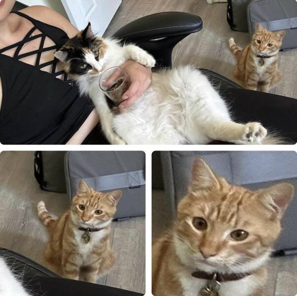 Подборка картинок. Вечерний выпуск - 26.06.2023