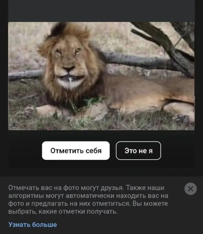 Нестандартный юмор :)