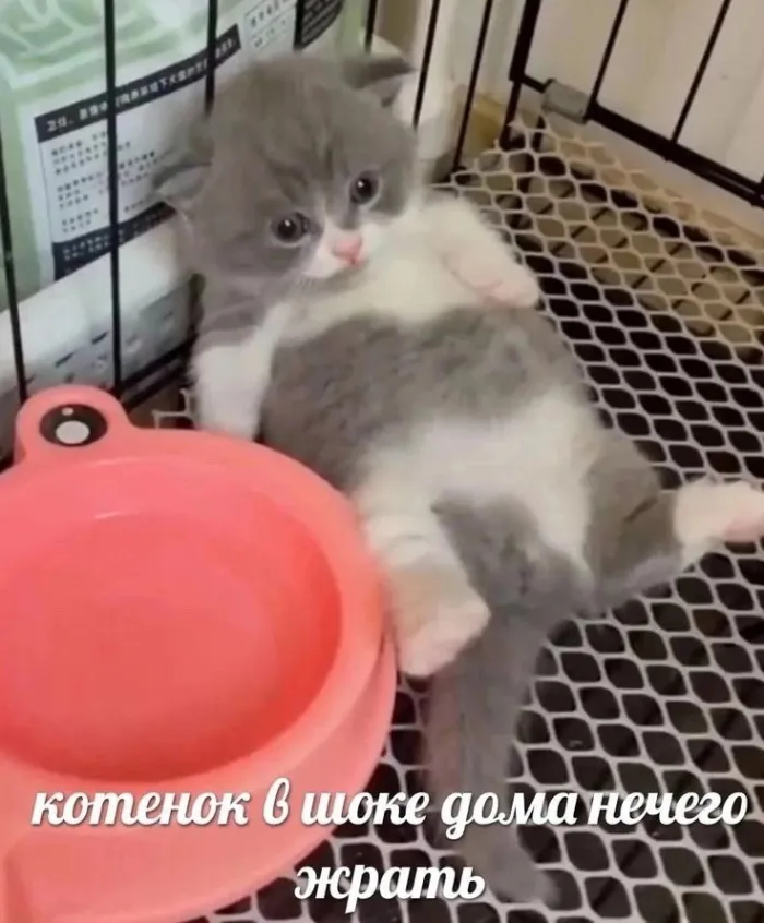 Нестандартный юмор :)