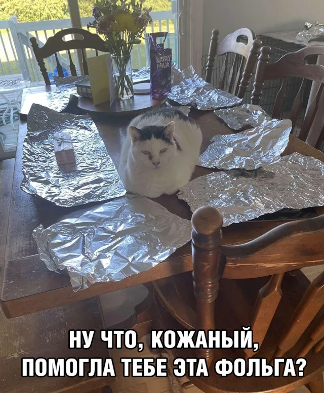 Немного картинок