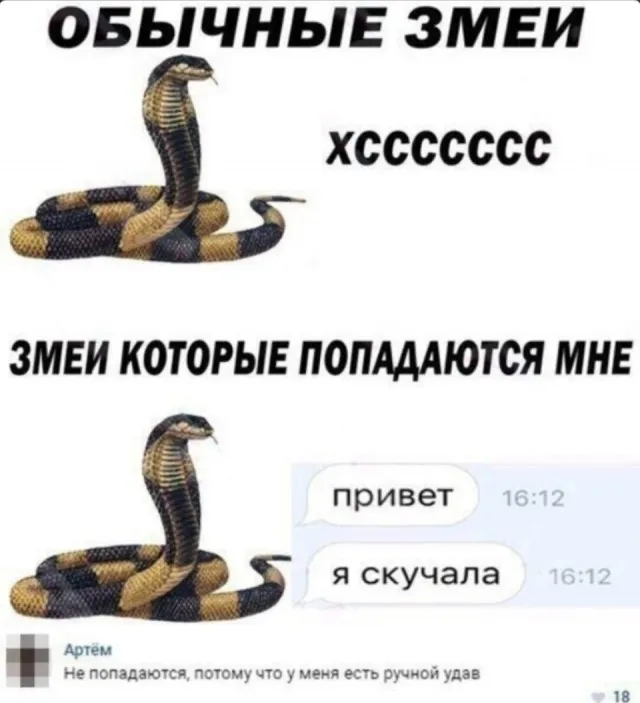 Немного картинок
