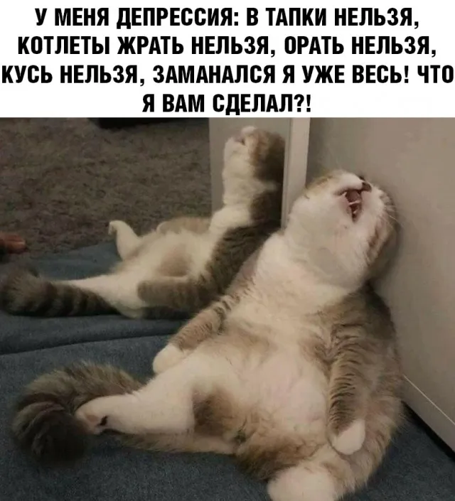 Немного картинок