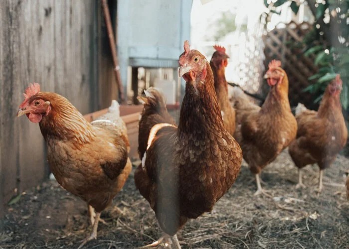 Bigpicture ru без названия 2022 06 22t110218.718