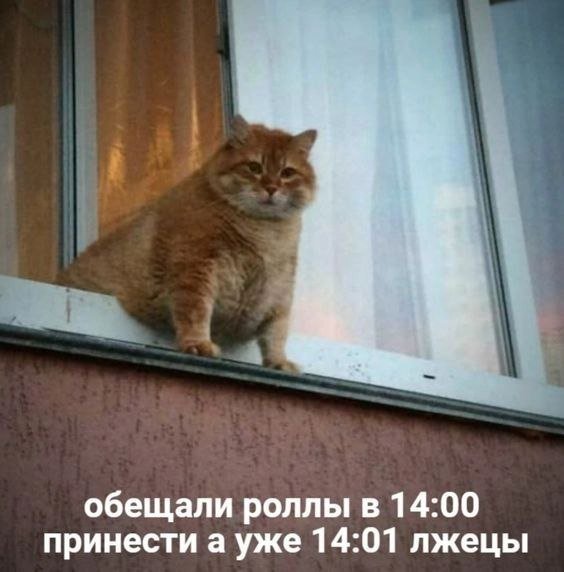 Лучшие шутки и мемы из Сети - 29.06.2023