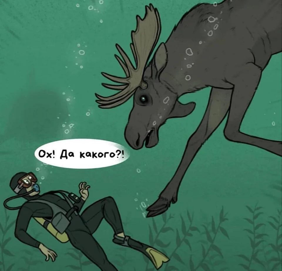 Зачем лосю нырять?