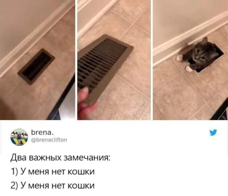 9. Ну хоть не змея — и ладно! 9. Ну хоть не змея — и ладно!