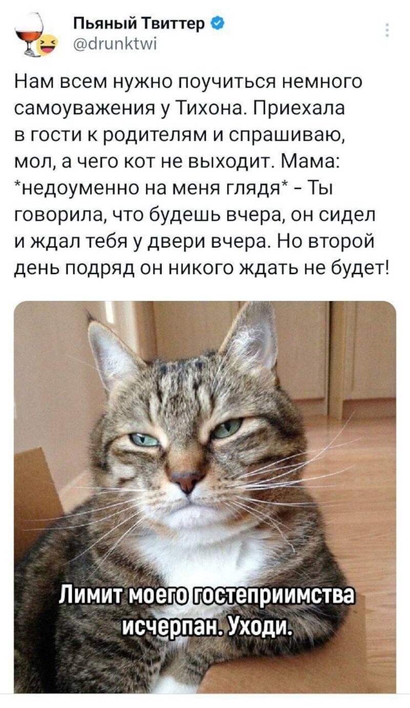 16. Целый день прождал — уже хорошо 16. Целый день прождал — уже хорошо