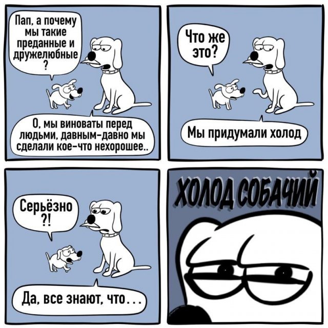 Лучшие шутки и мемы - 12.07.2023