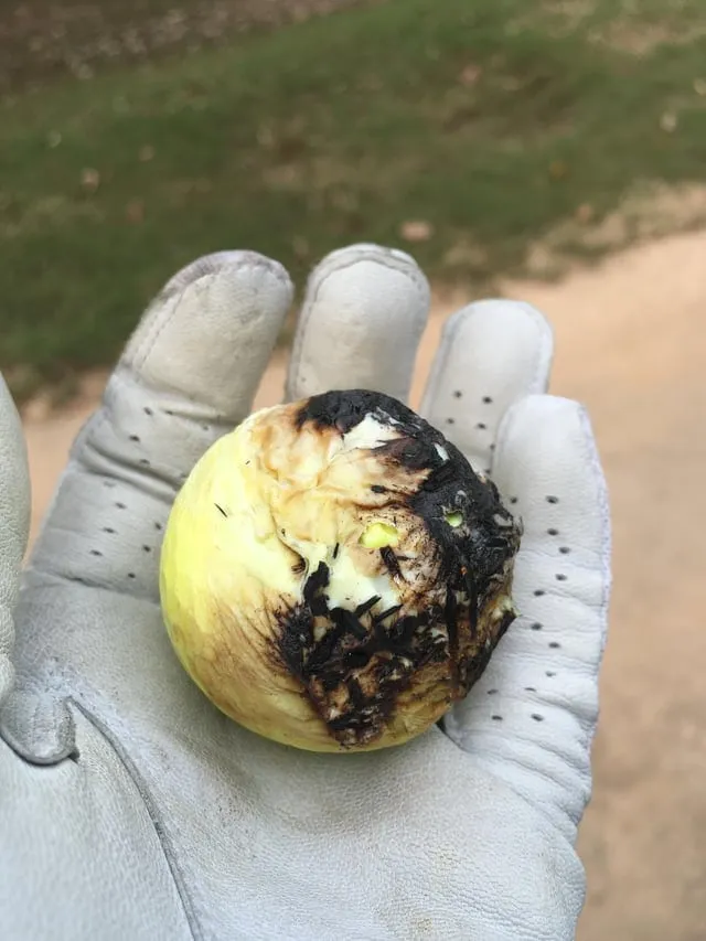 Страшно и красиво: неудержимая сила молний Страшно и красиво: неудержимая сила молний