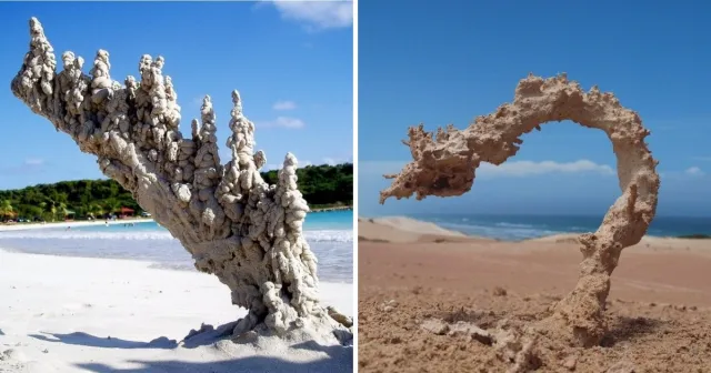 Страшно и красиво: неудержимая сила молний Страшно и красиво: неудержимая сила молний