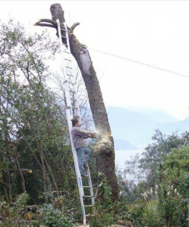 Подборка картинок. Вечерний выпуск - 21.07.2023