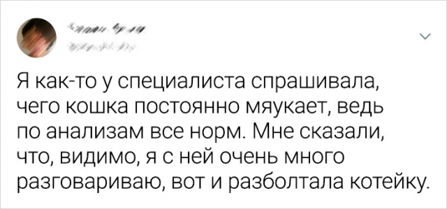 Подборка забавных твитов про животных