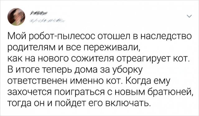 Подборка забавных твитов про животных