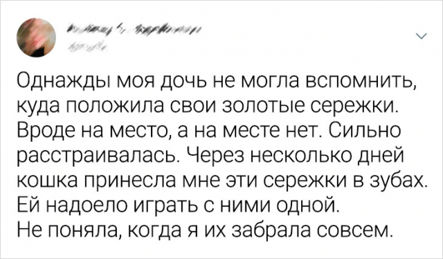 Подборка забавных твитов про животных