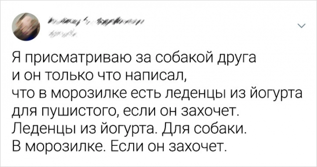 Подборка забавных твитов про животных
