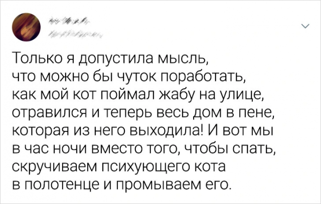 Подборка забавных твитов про животных