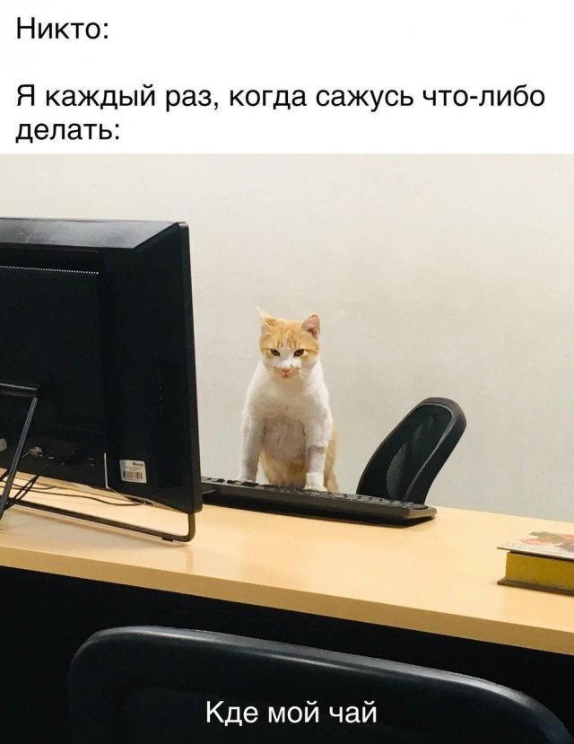 Лучшие шутки и мемы - 27.07.2023