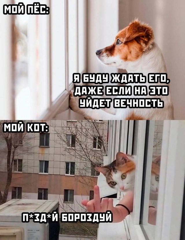 Лучшие шутки и мемы - 27.07.2023