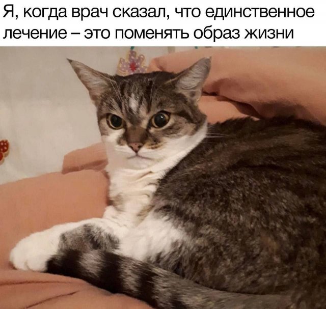 Лучшие шутки и мемы - 27.07.2023