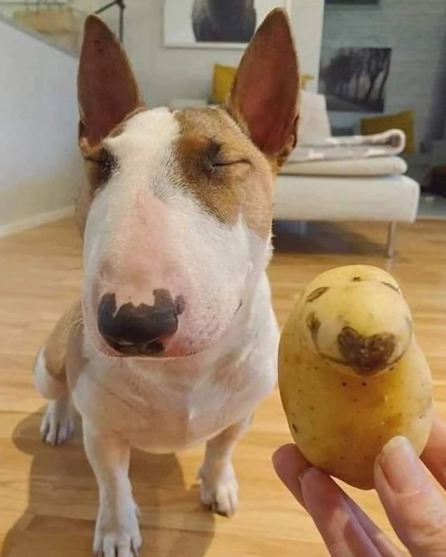 Лучшие шутки и мемы - 27.07.2023