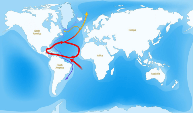 Что такое Гольфстрим и как он влияет на климат. Гольфстрим переносит теплую воду к берегам Западной Европы и Северной Америки. Фото.