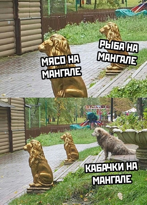 Подборка картинок. Вечерний выпуск - 28.07.2023