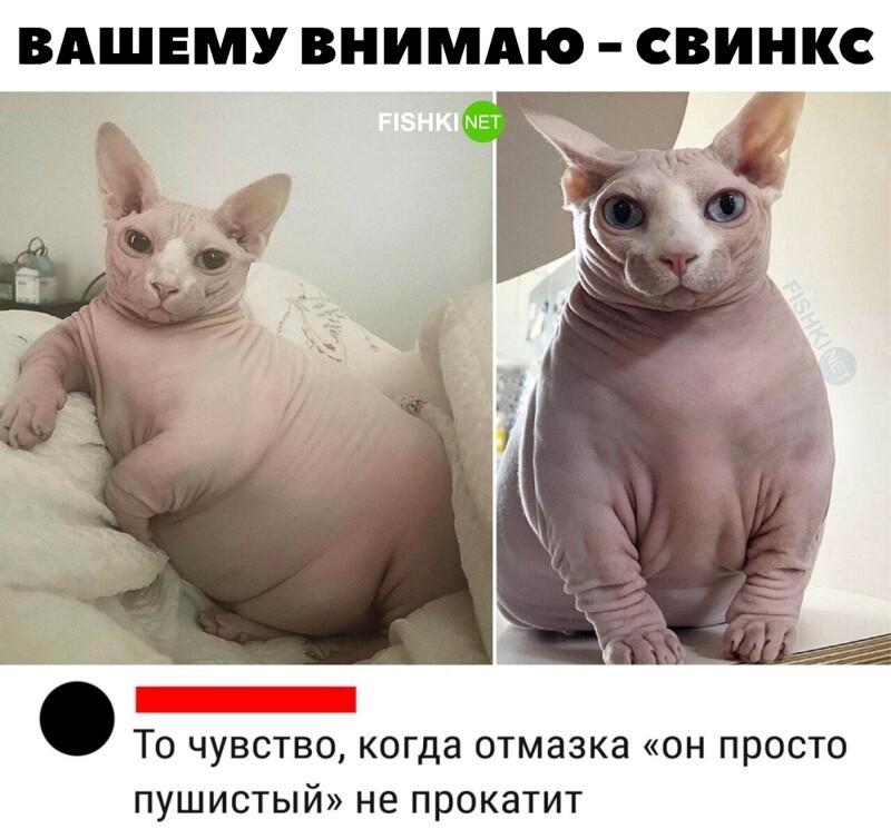 2. И судя по его выражению, он ни о чём не жалеет