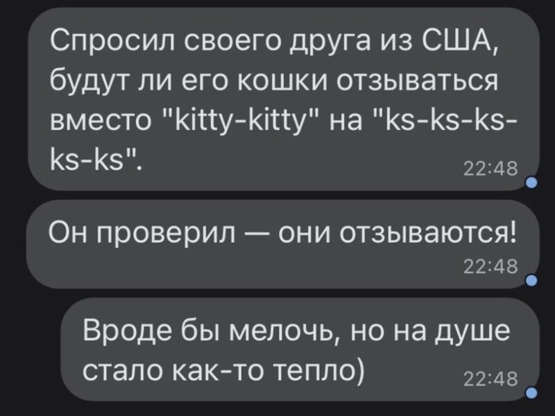12. Кс-кс-кс!