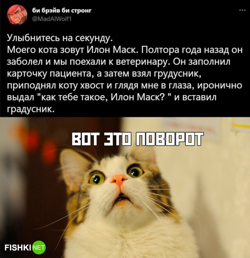 13. Думаю, что ему не понравилось