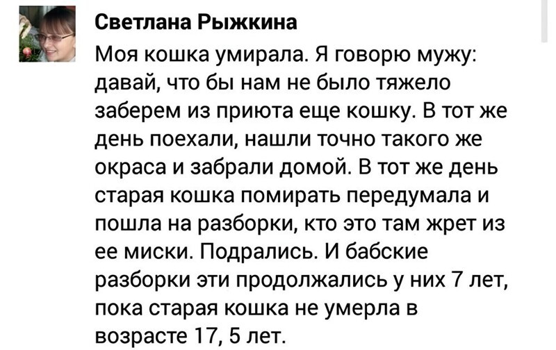 14. М — мотивация
