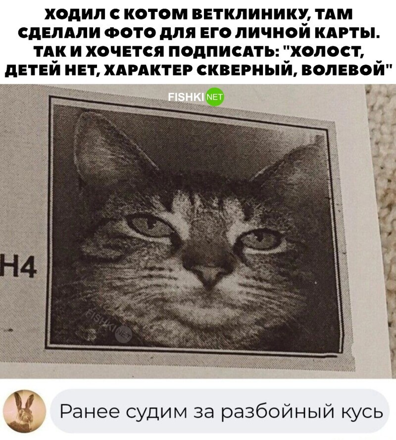3. Не первый раз судим за кусь