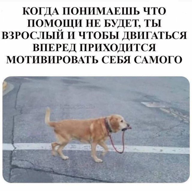 Лучшие шутки и мемы - 04.08.2023