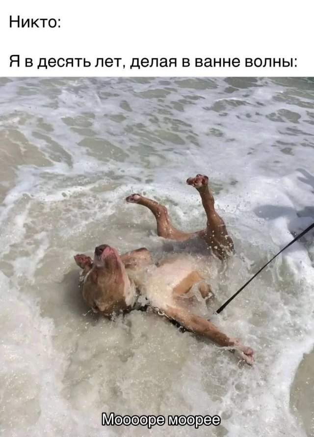 Лучшие шутки и мемы - 02.08.2023