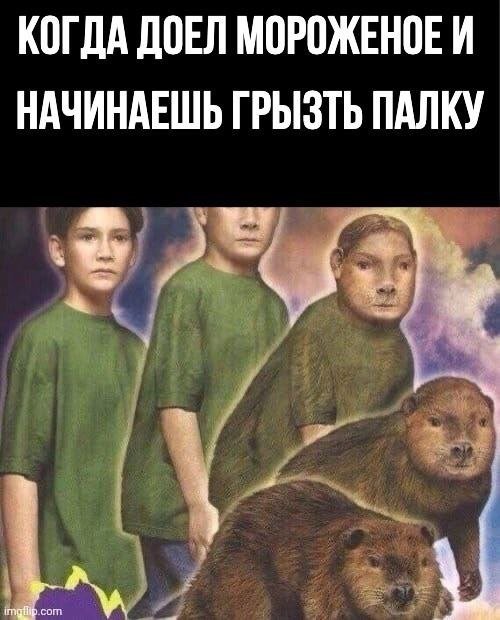 Лучшие шутки и мемы - 02.08.2023