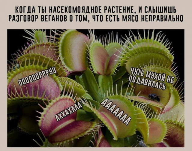 Лучшие шутки и мемы - 10.08.2023