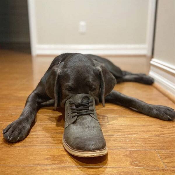 Подборка картинок. Вечерний выпуск - 15.08.2023