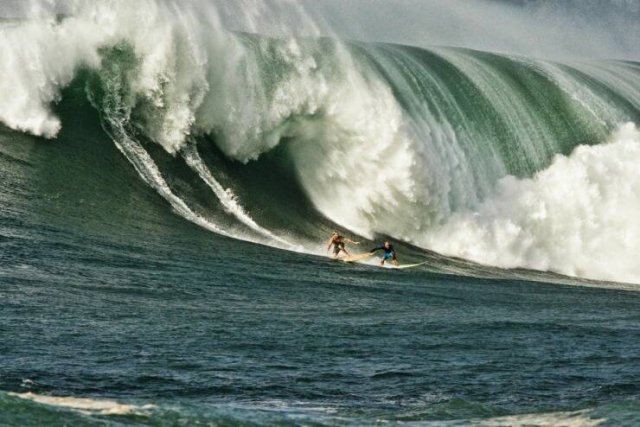 Подборка картинок. Вечерний выпуск - 15.08.2023