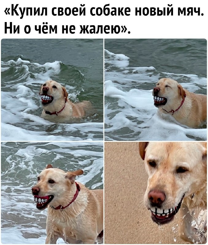 Фотоприколы и прикольные картинки