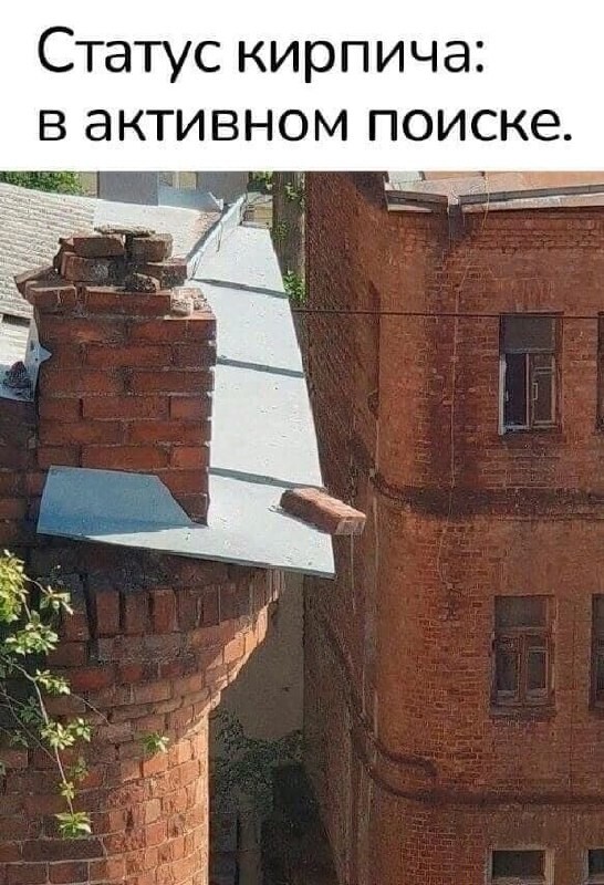 Фотоприколы и прикольные картинки