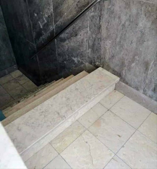 Подборка картинок. Вечерний выпуск - 15.08.2023