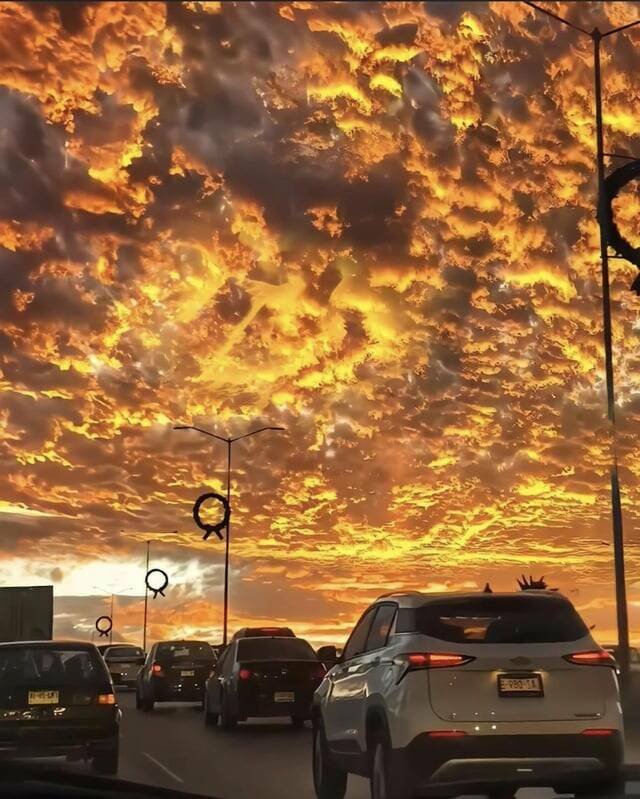 Подборка картинок. Вечерний выпуск - 15.08.2023