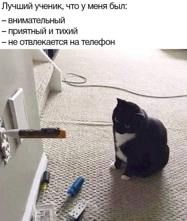 Лучшие шутки и мемы - 16.08.2023