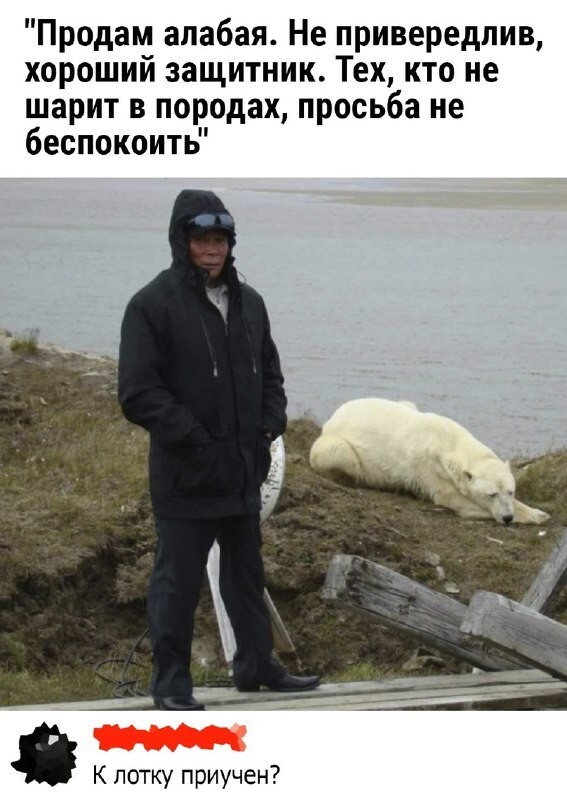 Фотоприколы и прикольные картинки