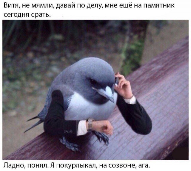 Фотоприколы и прикольные картинки