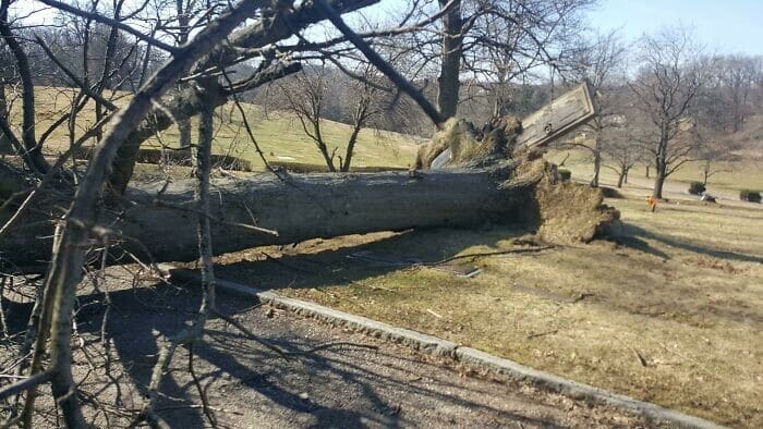 Фотография: 40 пугающих фото из сообщества любителей страшного Creepy №30 - BigPicture.ru