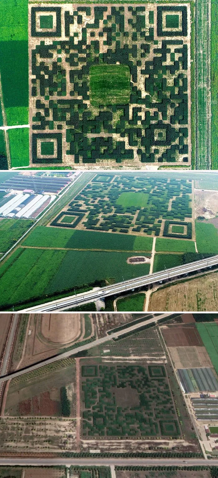 45 свидетельств, что Китай не похож ни на одну другую страну