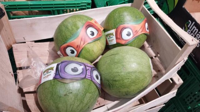 Подборка картинок. Вечерний выпуск - 24.08.2023