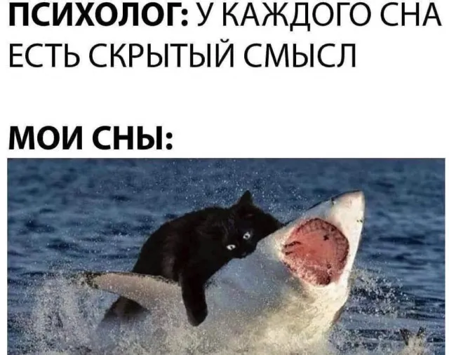 Неадекватность